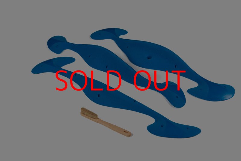 画像7: CT Taji Pinch MEG 2 (7)