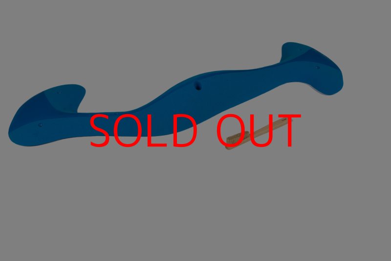 画像6: CT Taji Pinch MEG 8 (6)