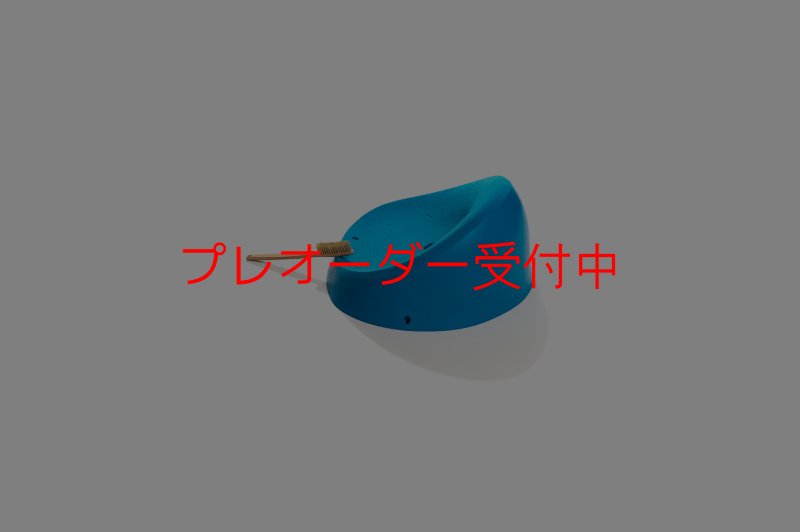 画像2: CT Taji XXL1/プレオーダー (2)