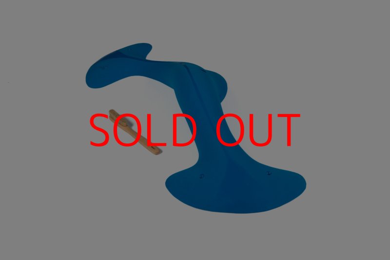 画像2: CT Taji Pinch MEG 11 (2)