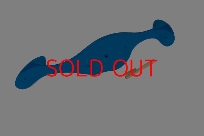 画像6: CT Taji Pinch MEG 6 (6)