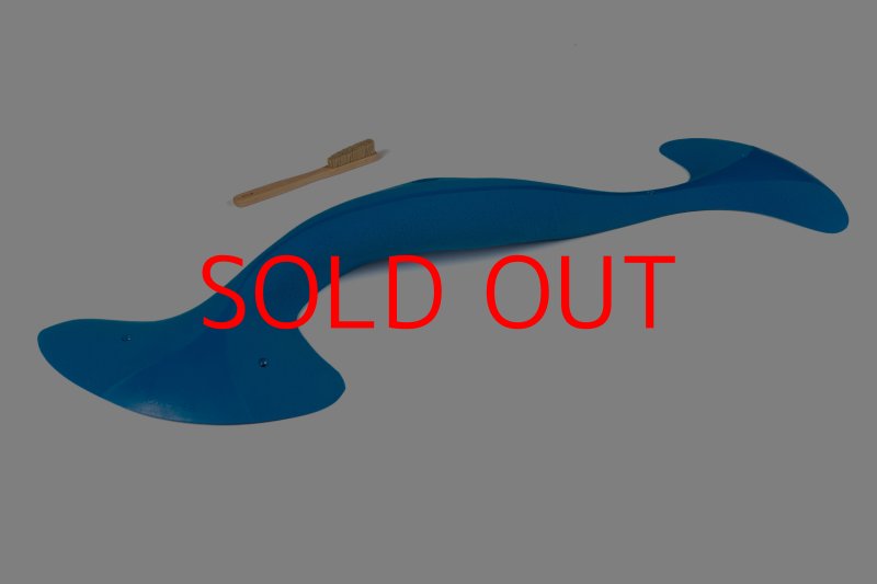 画像3: CT Taji Pinch MEG 5 (3)