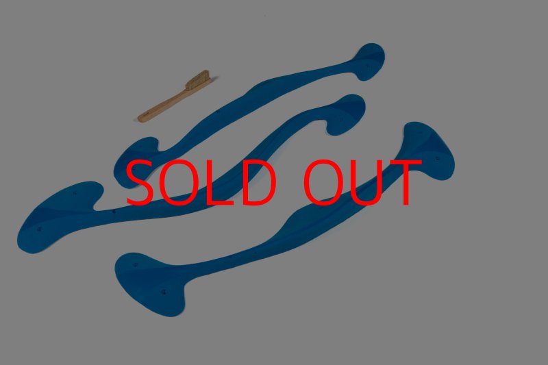 画像3: CT Taji Pinch MEG 3 (3)