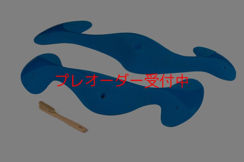 画像7: CT Taji Pinch MEG 4/プレオーダー (7)