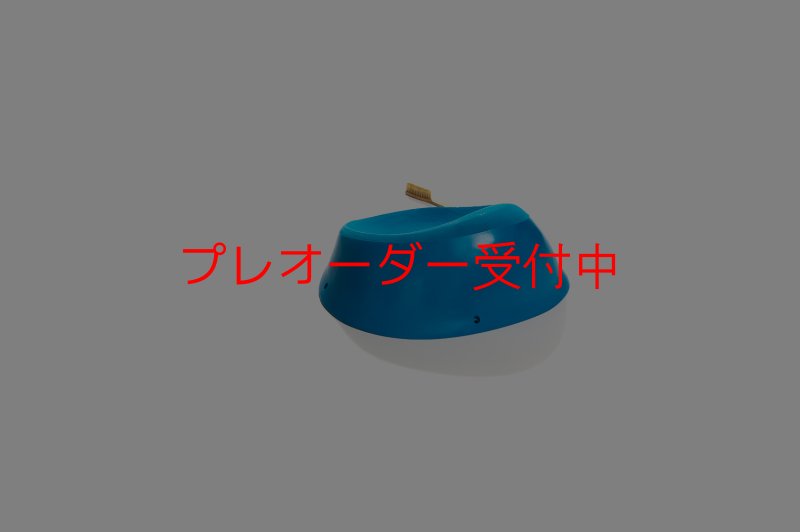 画像3: CT Taji XXL2/プレオーダー (3)