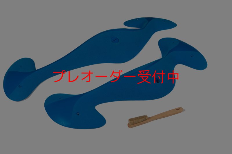 画像6: CT Taji Pinch MEG 4/プレオーダー (6)
