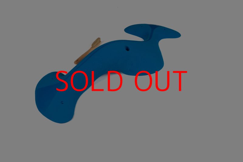 画像3: CT Taji Pinch MEG 11 (3)