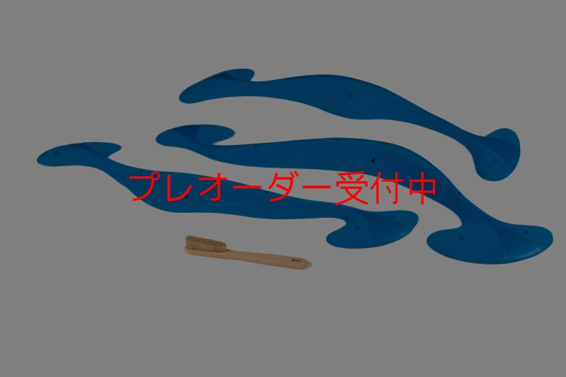 画像7: CT Taji Pinch MEG 3/プレオーダー (7)