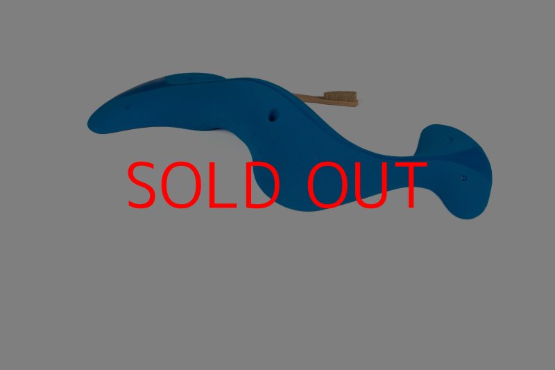 画像4: CT Taji Pinch MEG 11 (4)