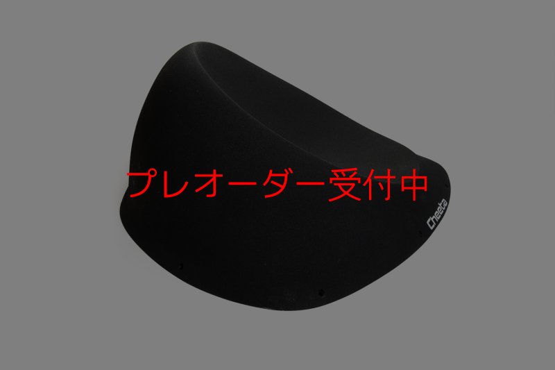 画像6: CT Taji 1/プレオーダー (6)