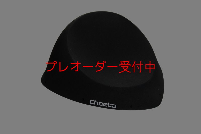 画像1: CT Taji 1/プレオーダー (1)