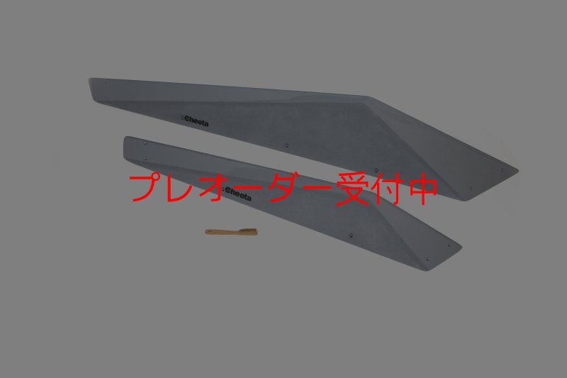画像2: CT　Big Fine F* DT/プレオーダー (2)