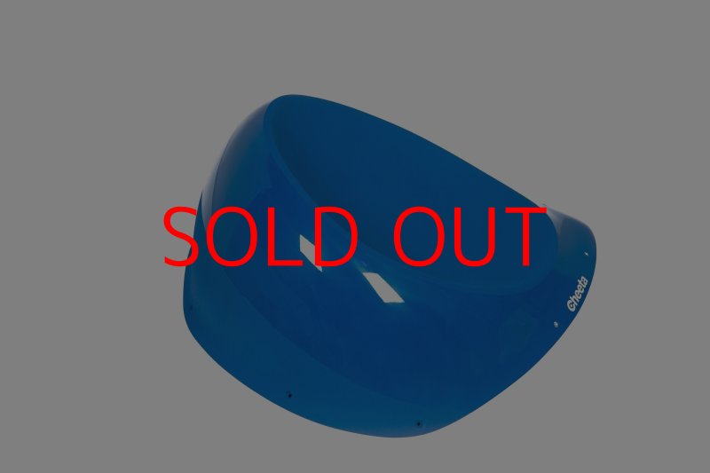 画像6: CT Taji 1 DT (6)