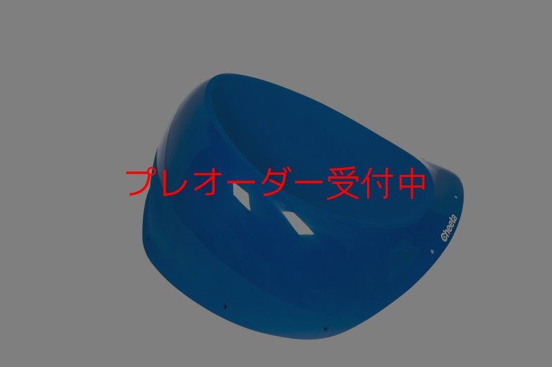 画像6: CT Taji 1 DT/プレオーダー (6)
