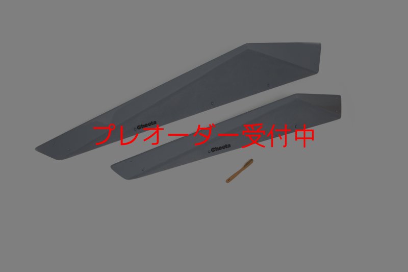 画像1: CT　Big Fine F* DT/プレオーダー (1)