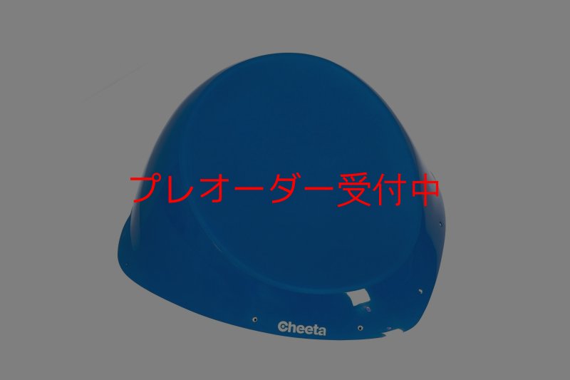 画像1: CT Taji 1 DT/プレオーダー (1)