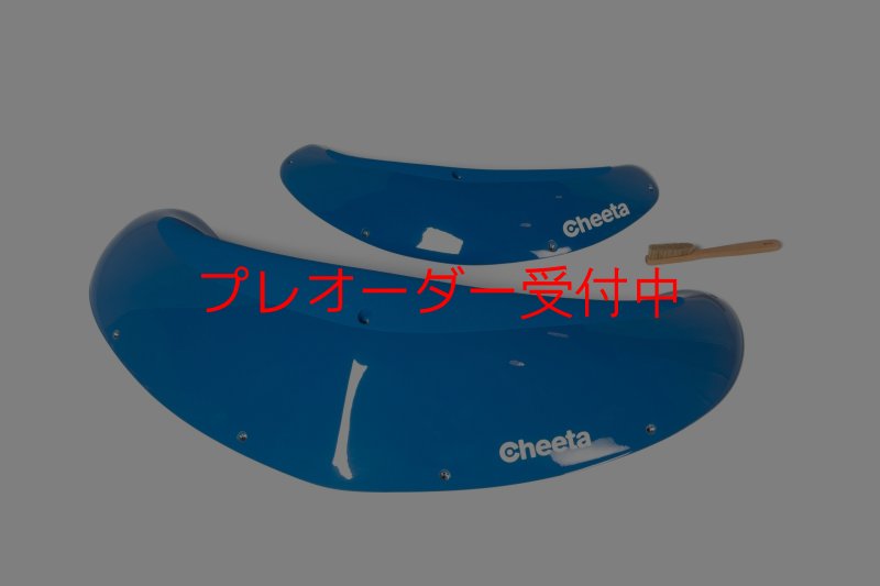 画像5: CT　Slide 3 ML/プレオーダー (5)