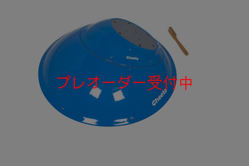画像6: CT　Base Set 2 SM DT/プレオーダー (6)