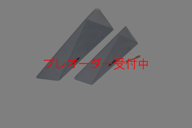 画像6: CT　Big Flat F* DT/プレオーダー (6)