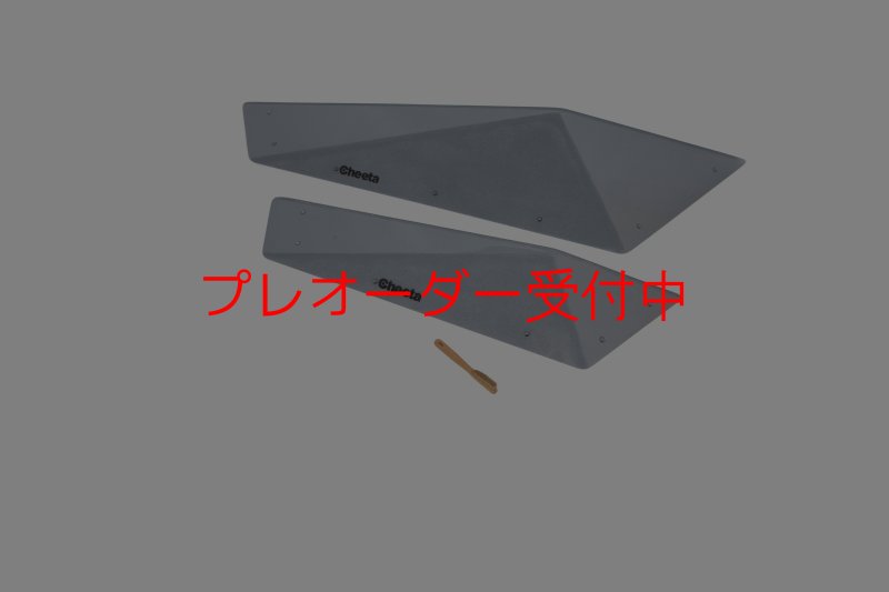 画像1: CT　Big Flat F* DT/プレオーダー (1)