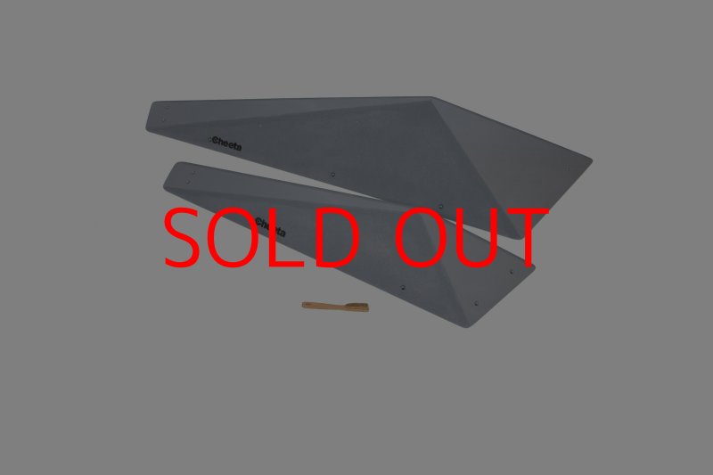 画像2: CT　Big Fat F* DT (2)