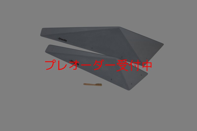 画像2: CT　Big Fat F* DT/プレオーダー (2)