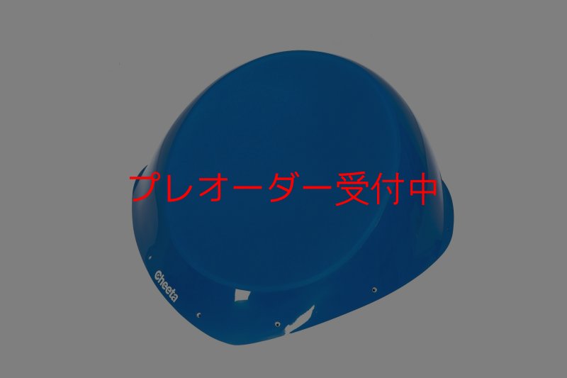 画像2: CT Taji 1 DT/プレオーダー (2)