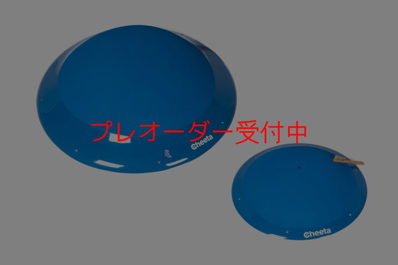 画像5: CT　Sky-Walk 3 ML/プレオーダー (5)
