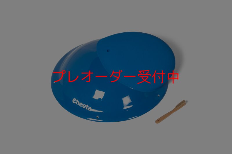 画像1: CT　Sky-Walk 1 M/プレオーダー (1)