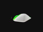 画像3: CP　APEX DUALTEX SHINY SIDES  - MACRO 22 (3)