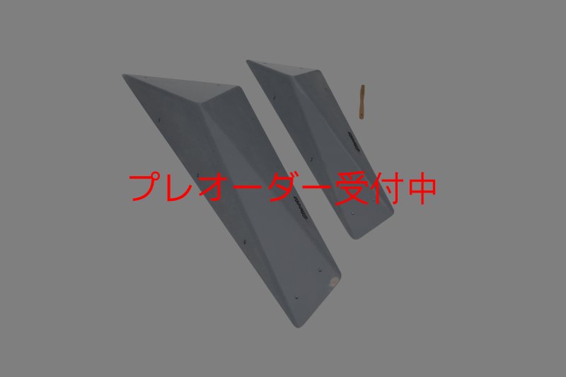 画像5: CT　Big Flat F* DT/プレオーダー (5)