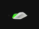 画像3: CP　APEX DUALTEX SHINY SIDES  - MACRO 4 (3)