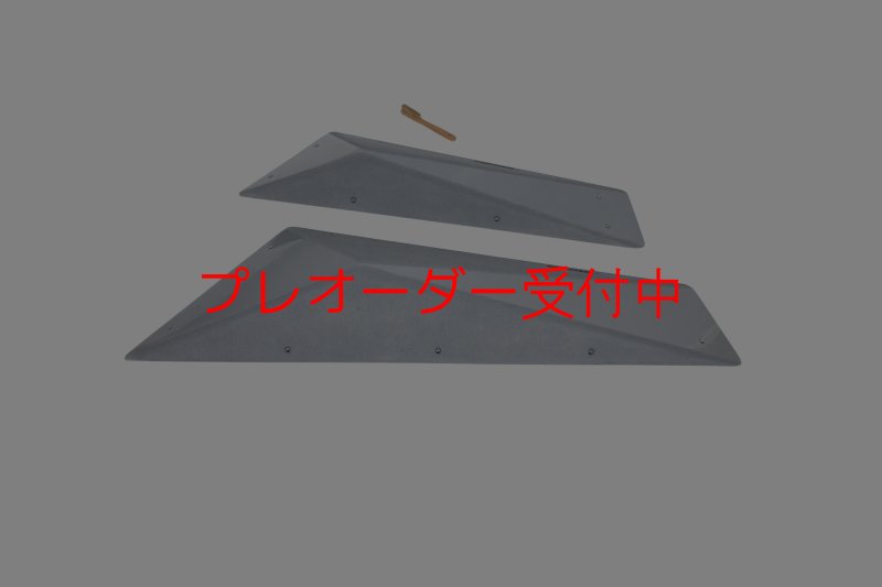 画像4: CT　Big Flat F* DT/プレオーダー (4)