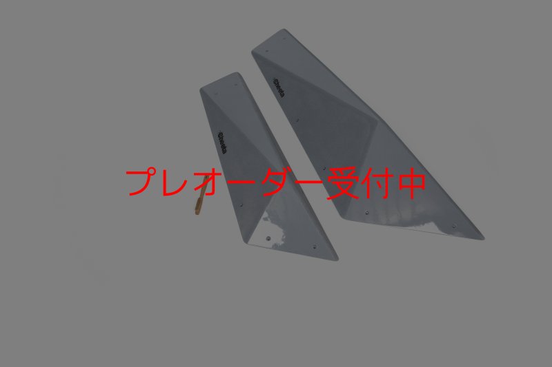画像2: CT　Big Flat F* DT/プレオーダー (2)