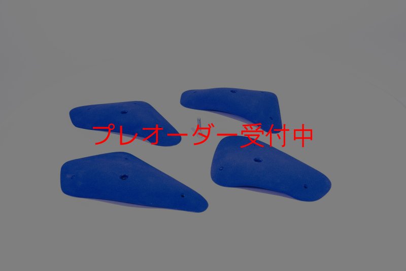 画像2: BP　コンペティション　ビッグレッジ/プレオーダー (2)