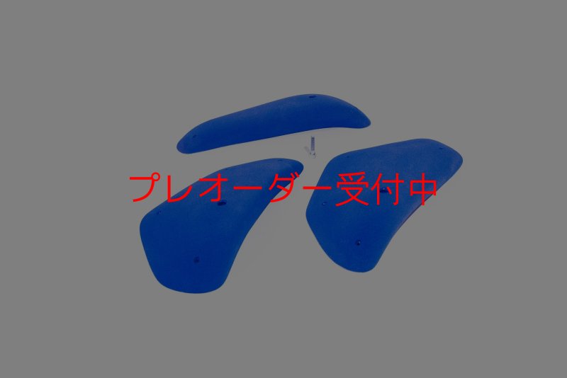 画像2: BP　コンペティション　ギガレッジ/プレオーダー (2)