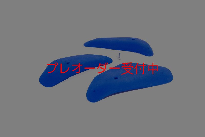 画像3: BP　コンペティション　ギガレッジ/プレオーダー (3)