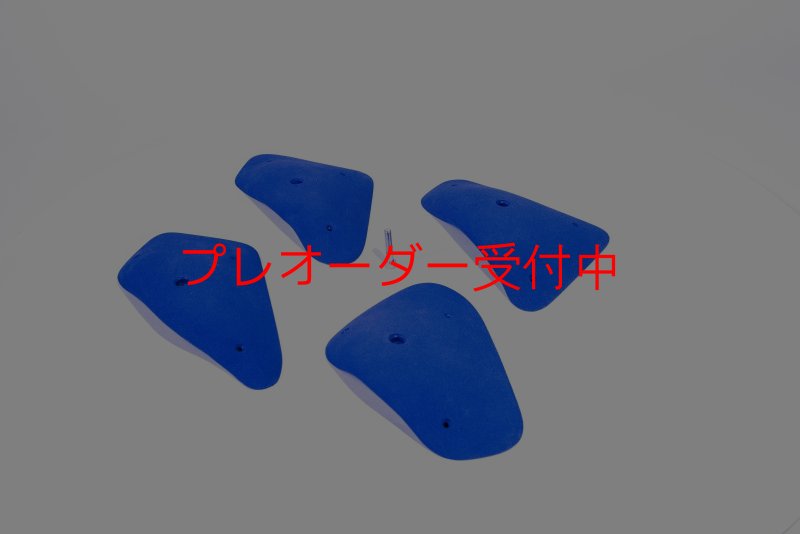 画像3: BP　コンペティション　ビッグレッジ/プレオーダー (3)