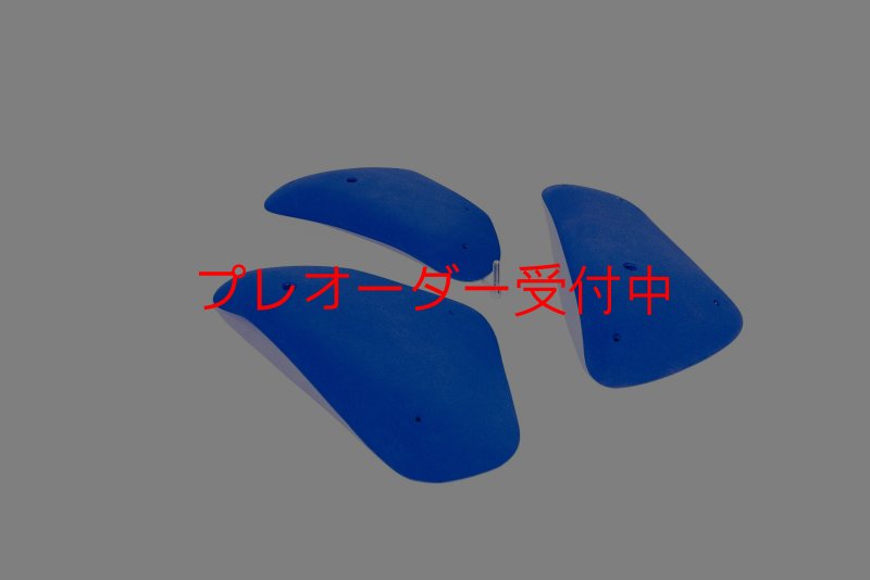 画像4: BP　コンペティション　ギガレッジ/プレオーダー (4)