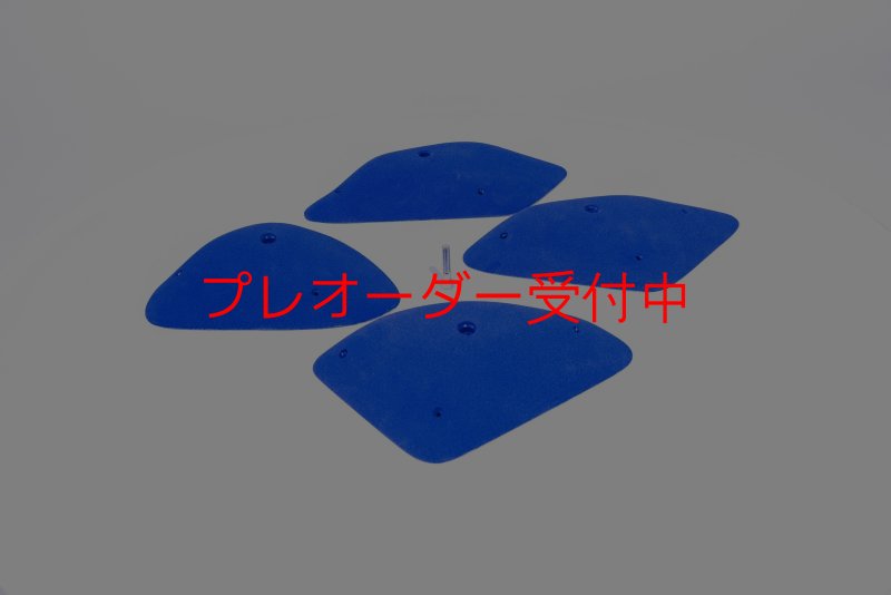 画像6: BP　コンペティション　ビッグレッジ/プレオーダー (6)