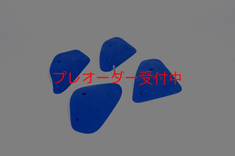 画像4: BP　コンペティション　ビッグレッジ/プレオーダー (4)