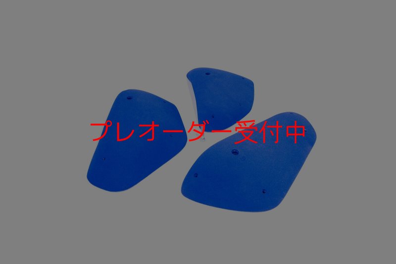 画像6: BP　コンペティション　ギガレッジ/プレオーダー (6)