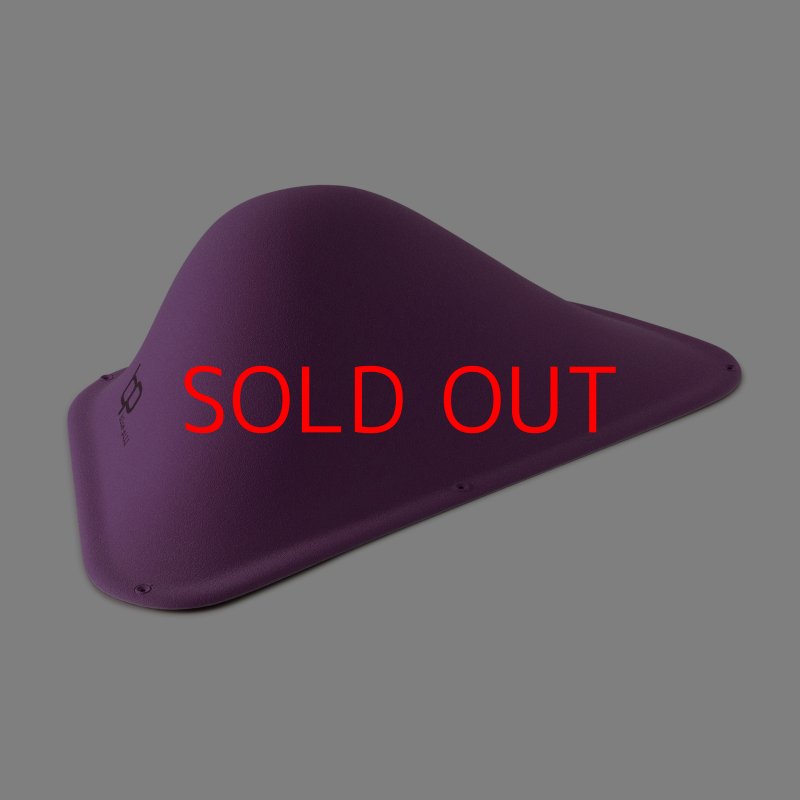 画像2: BP　ファイバー　インプレッション　22 (2)