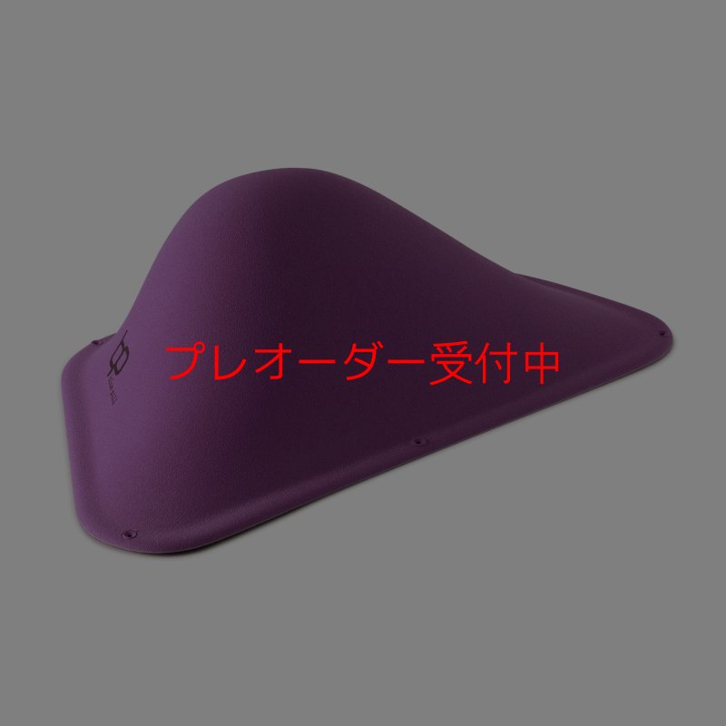 画像2: BP　ファイバー　インプレッション　22/プレオーダー (2)