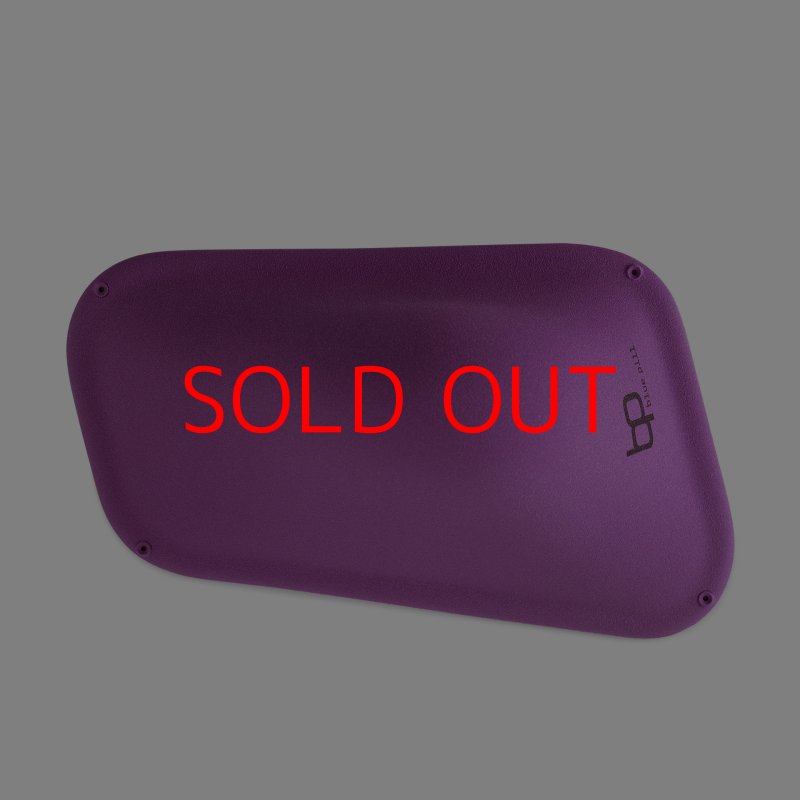 画像3: BP　ファイバー　インプレッション　19 (3)