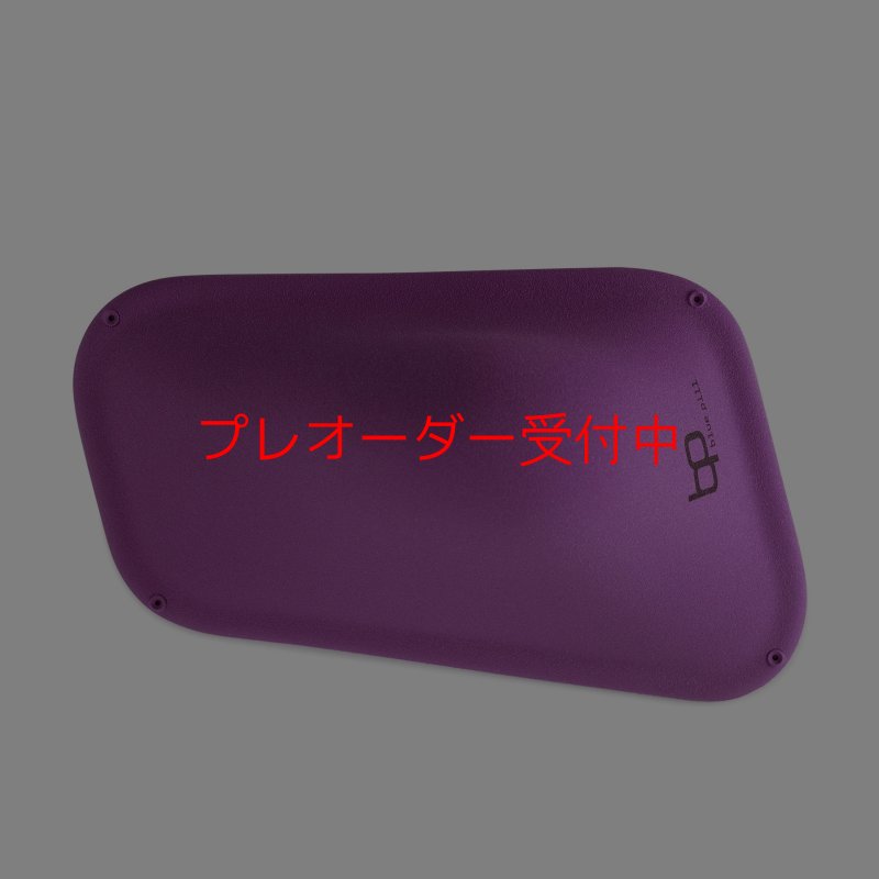 画像3: BP　ファイバー　インプレッション　19/プレオーダー (3)