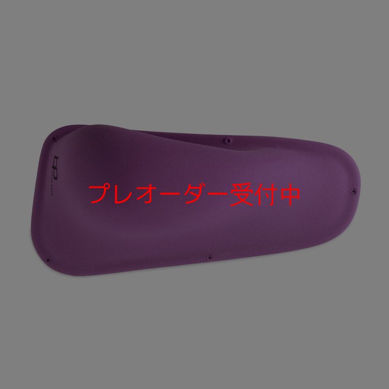 画像3: BP　ファイバー　インプレッション　17/プレオーダー (3)