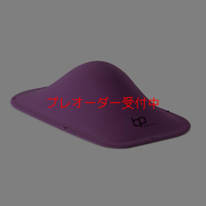画像2: BP　ファイバー　インプレッション　21/プレオーダー (2)