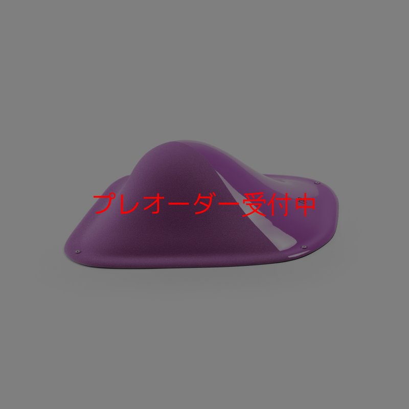 画像2: BP デュアルテクスチャー ファイバーインプレッション12/プレオーダー (2)