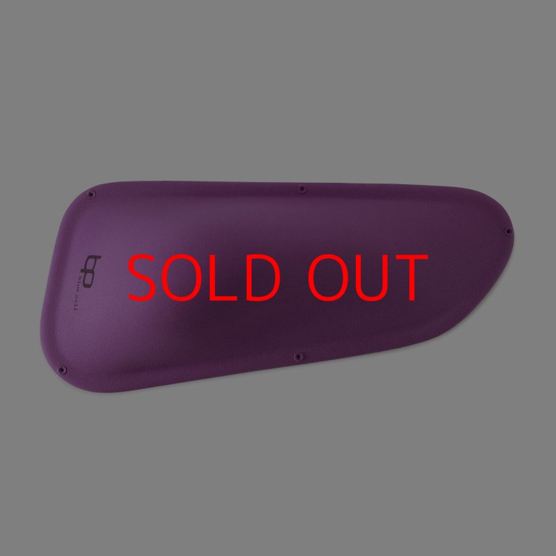 画像3: BP　ファイバー　インプレッション　20 (3)